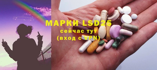 ГАЛЛЮЦИНОГЕННЫЕ ГРИБЫ Няндома