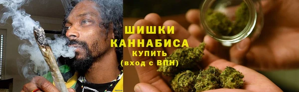 ГАЛЛЮЦИНОГЕННЫЕ ГРИБЫ Няндома