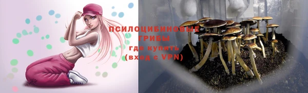 a pvp Нягань