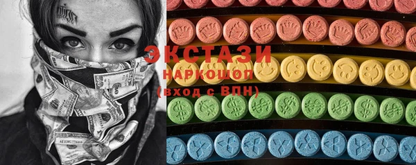 ECSTASY Богданович