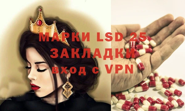 ГАЛЛЮЦИНОГЕННЫЕ ГРИБЫ Няндома