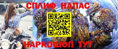 прущие грибы Моздок