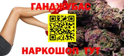 прущие грибы Моздок