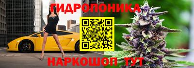 прущие грибы Моздок