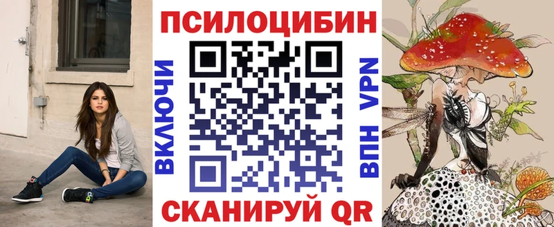 Псилоцибиновые грибы Psilocybe где купить наркоту Советская Гавань