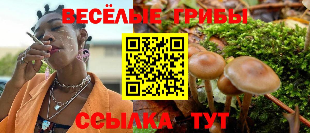 Псилоцибиновые грибы Magic Shrooms  Вход с VPN  Советская Гавань 